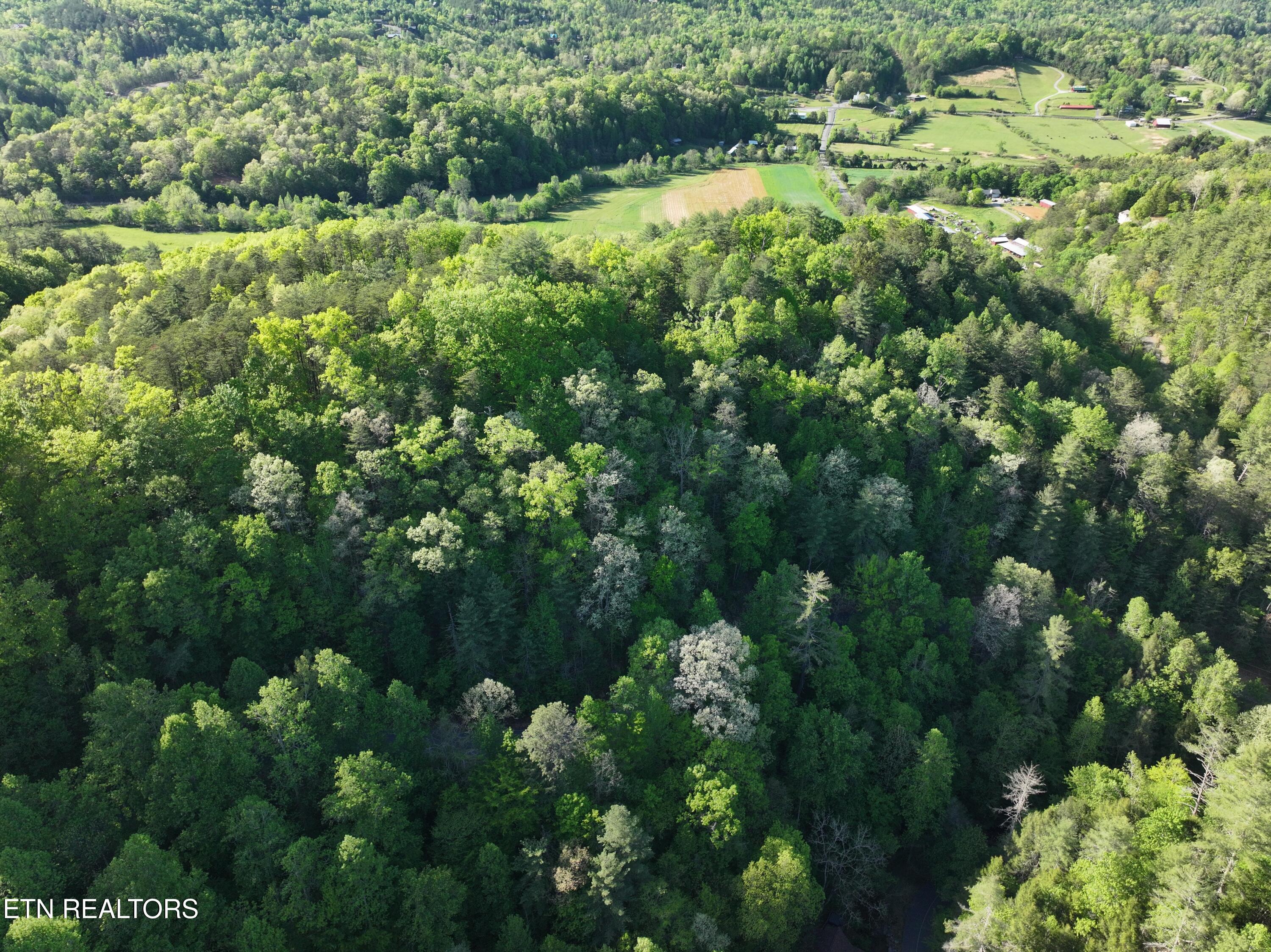 Sunset Road Sevierville TN 37862