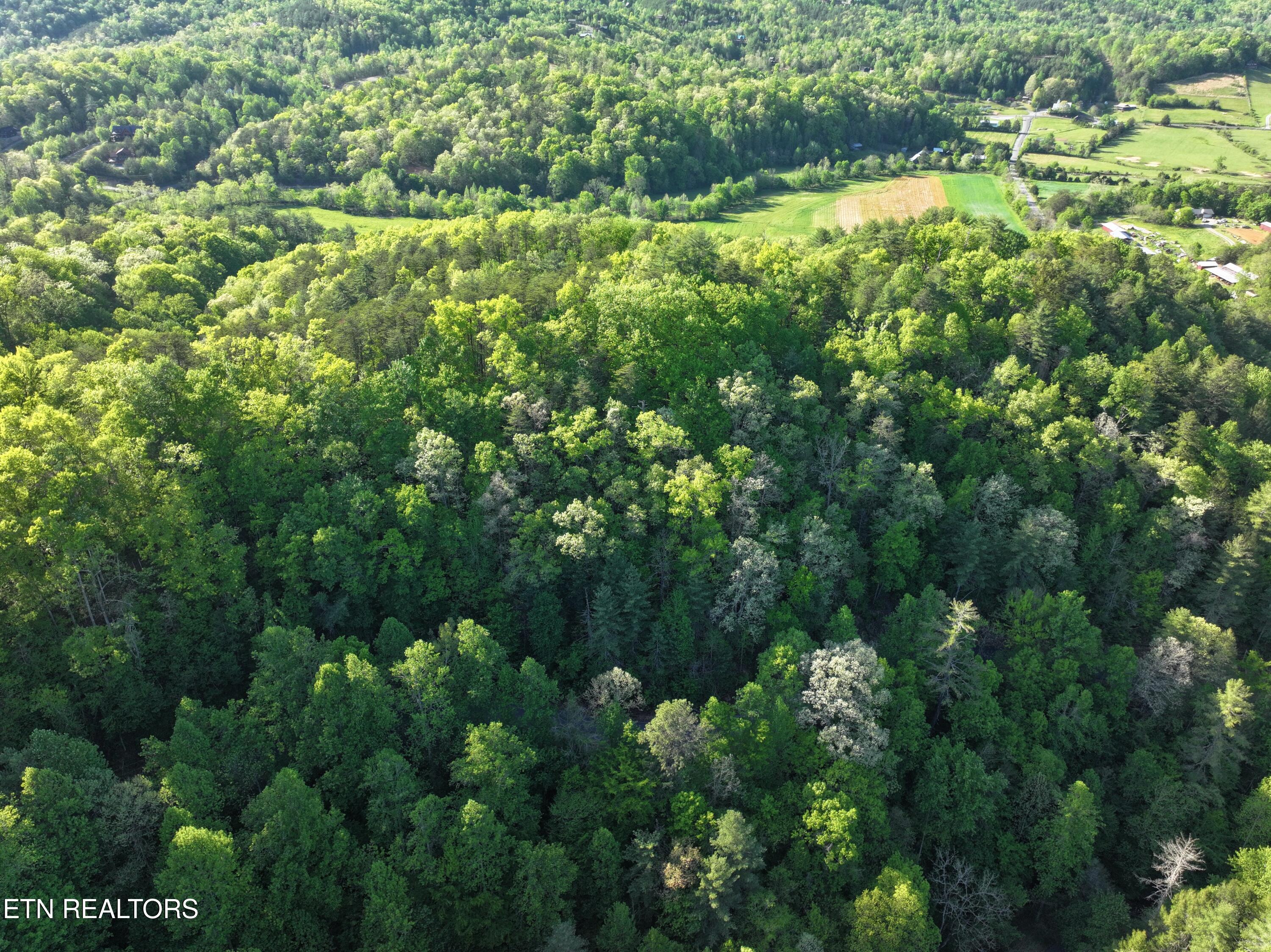 Sunset Road Sevierville TN 37862