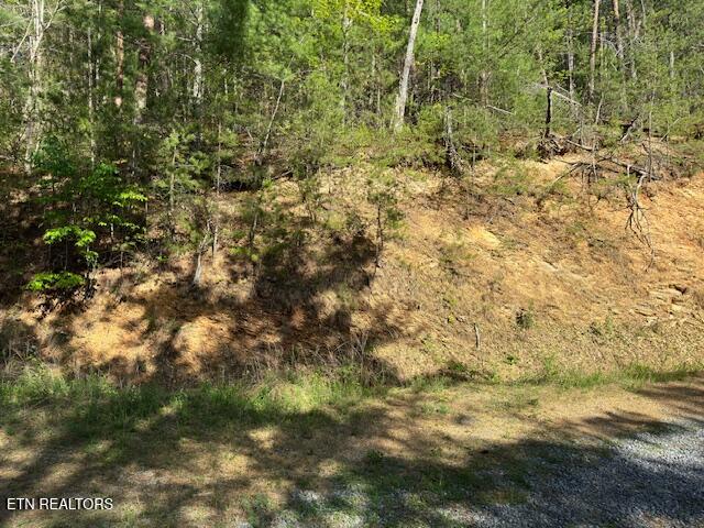 Sunset Road Sevierville TN 37862
