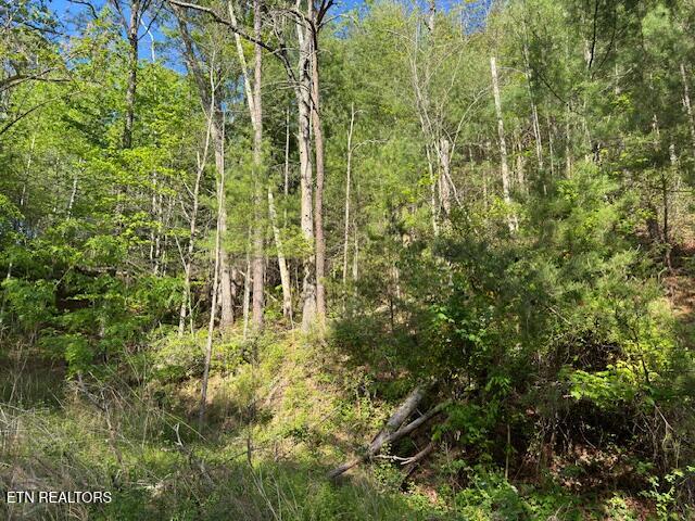 Sunset Road Sevierville TN 37862
