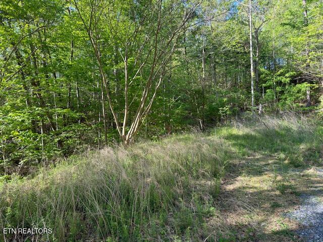 Sunset Road Sevierville TN 37862