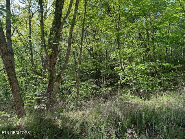 Sunset Road Sevierville TN 37862