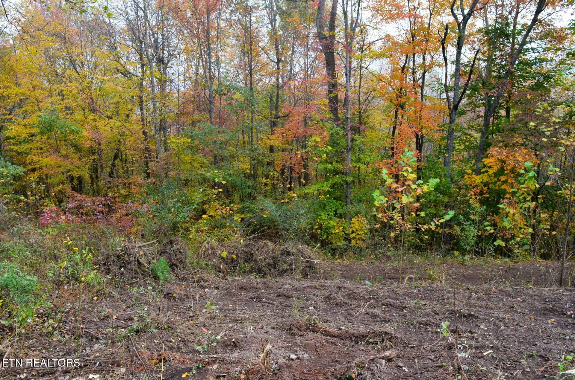 Whitman Hollow Road Lafollette TN 37766