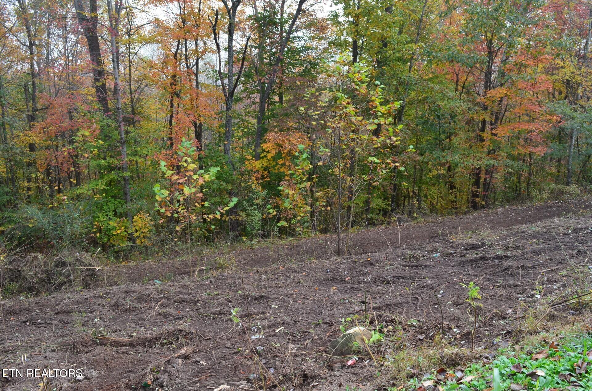 Whitman Hollow Road Lafollette TN 37766