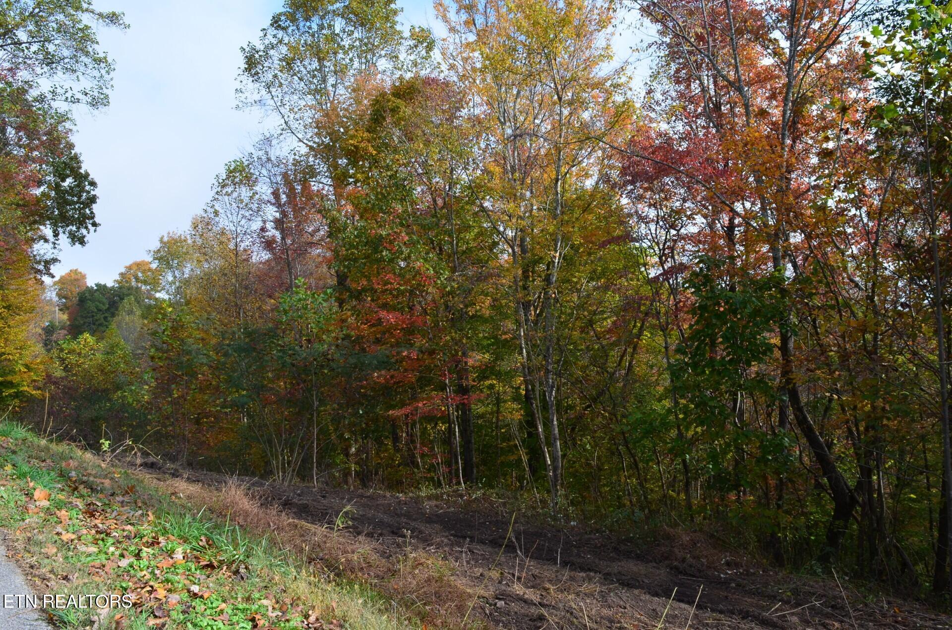 Whitman Hollow Road Lafollette TN 37766