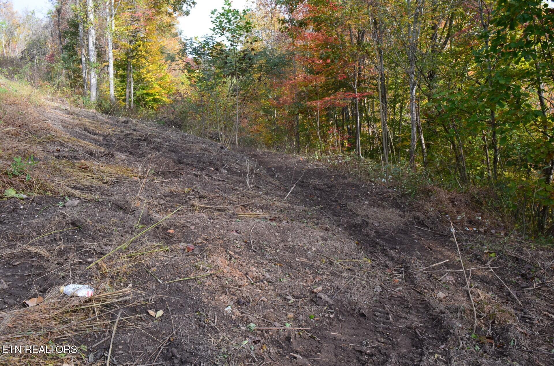 Whitman Hollow Road Lafollette TN 37766