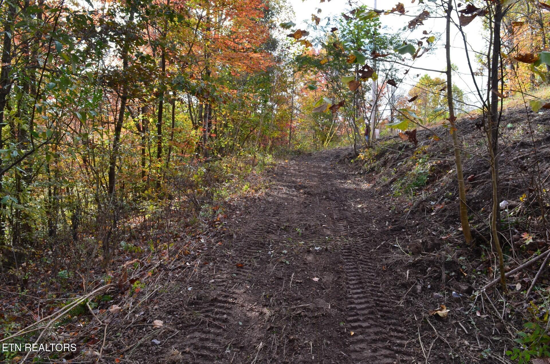 Whitman Hollow Road Lafollette TN 37766