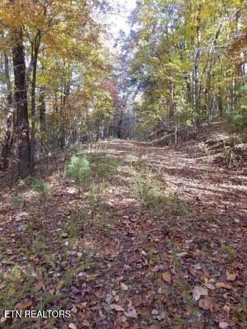 00 Tammy Trail Spring City TN 37381