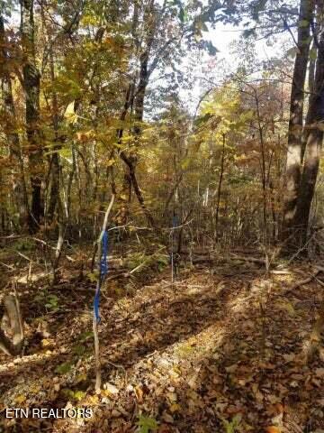 00 Tammy Trail Spring City TN 37381