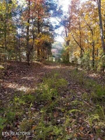 00 Tammy Trail Spring City TN 37381