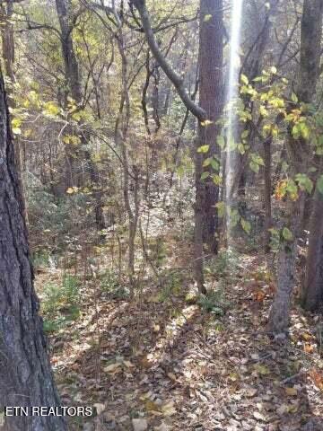 00 Tammy Trail Spring City TN 37381