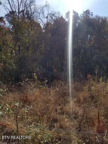 00 Tammy Trail Spring City TN 37381