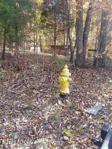 00 Tammy Trail Spring City TN 37381