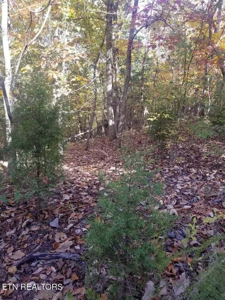 00 Tammy Trail Spring City TN 37381