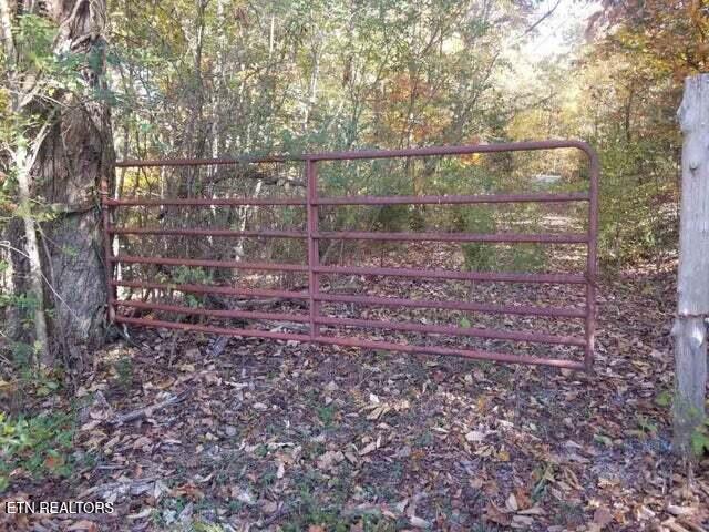 00 Tammy Trail Spring City TN 37381