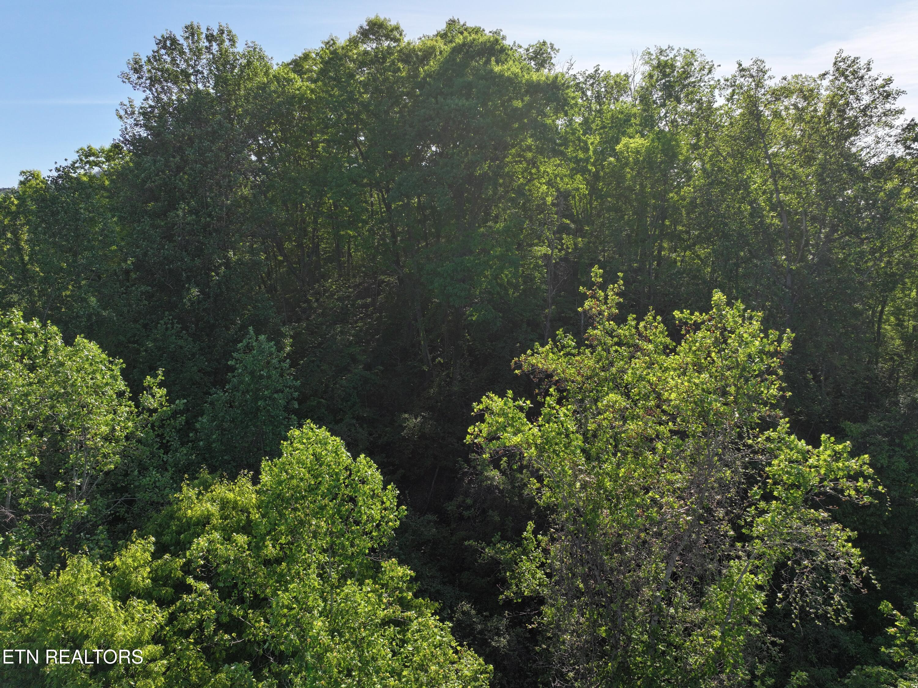 Dove View Road Sevierville TN 37862