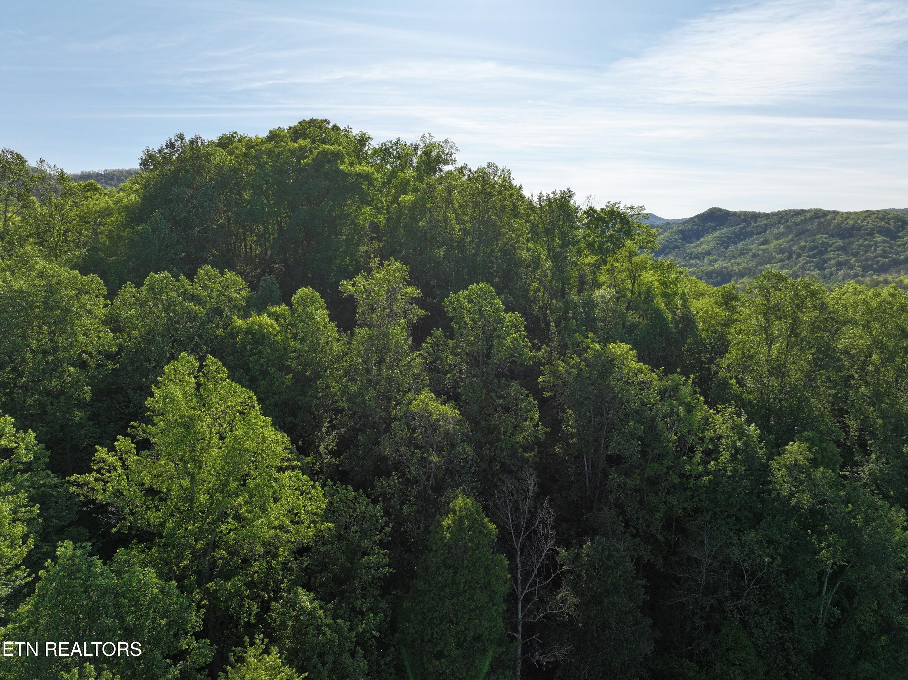 Dove View Road Sevierville TN 37862
