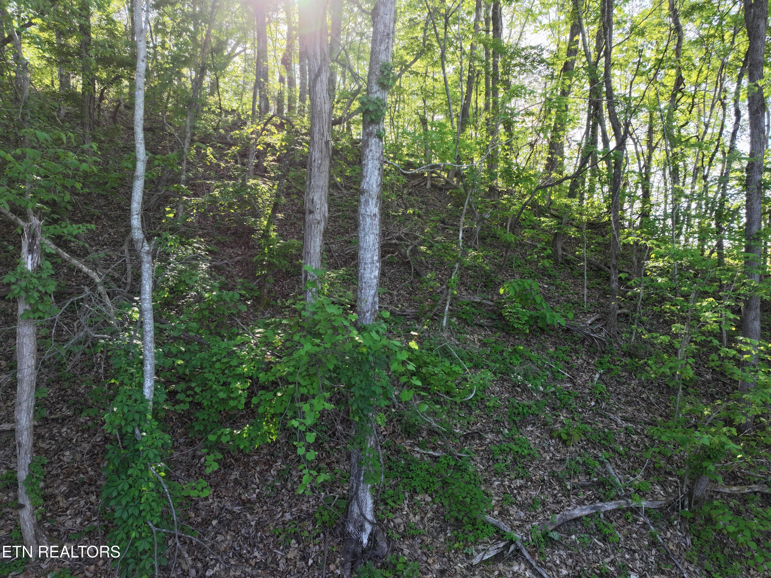 Dove View Road Sevierville TN 37862