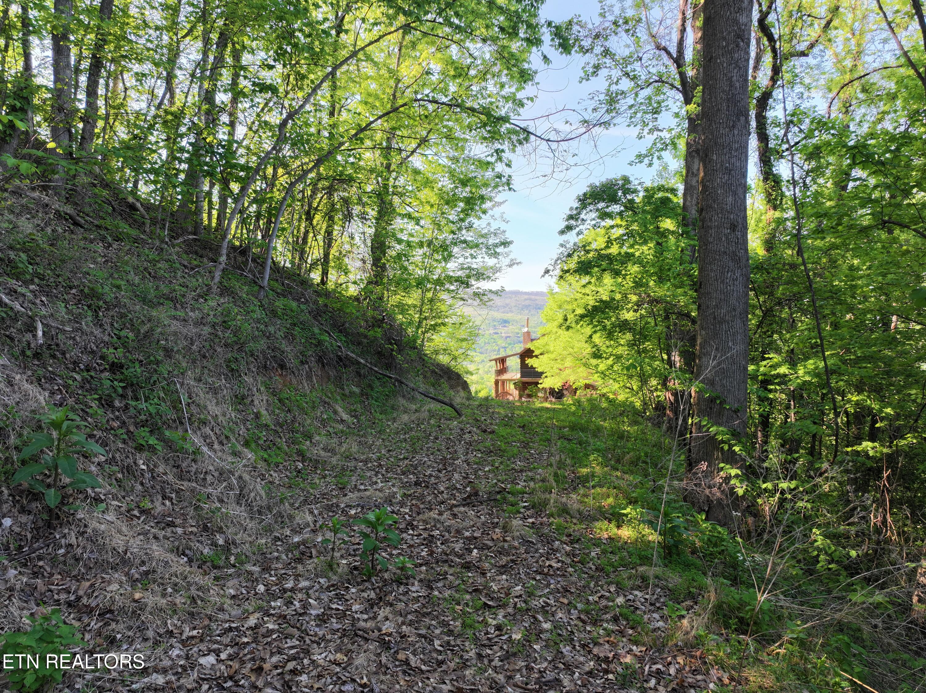 Dove View Road Sevierville TN 37862