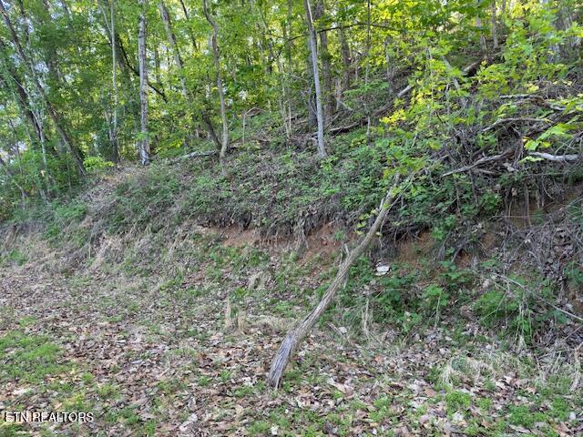 Dove View Road Sevierville TN 37862