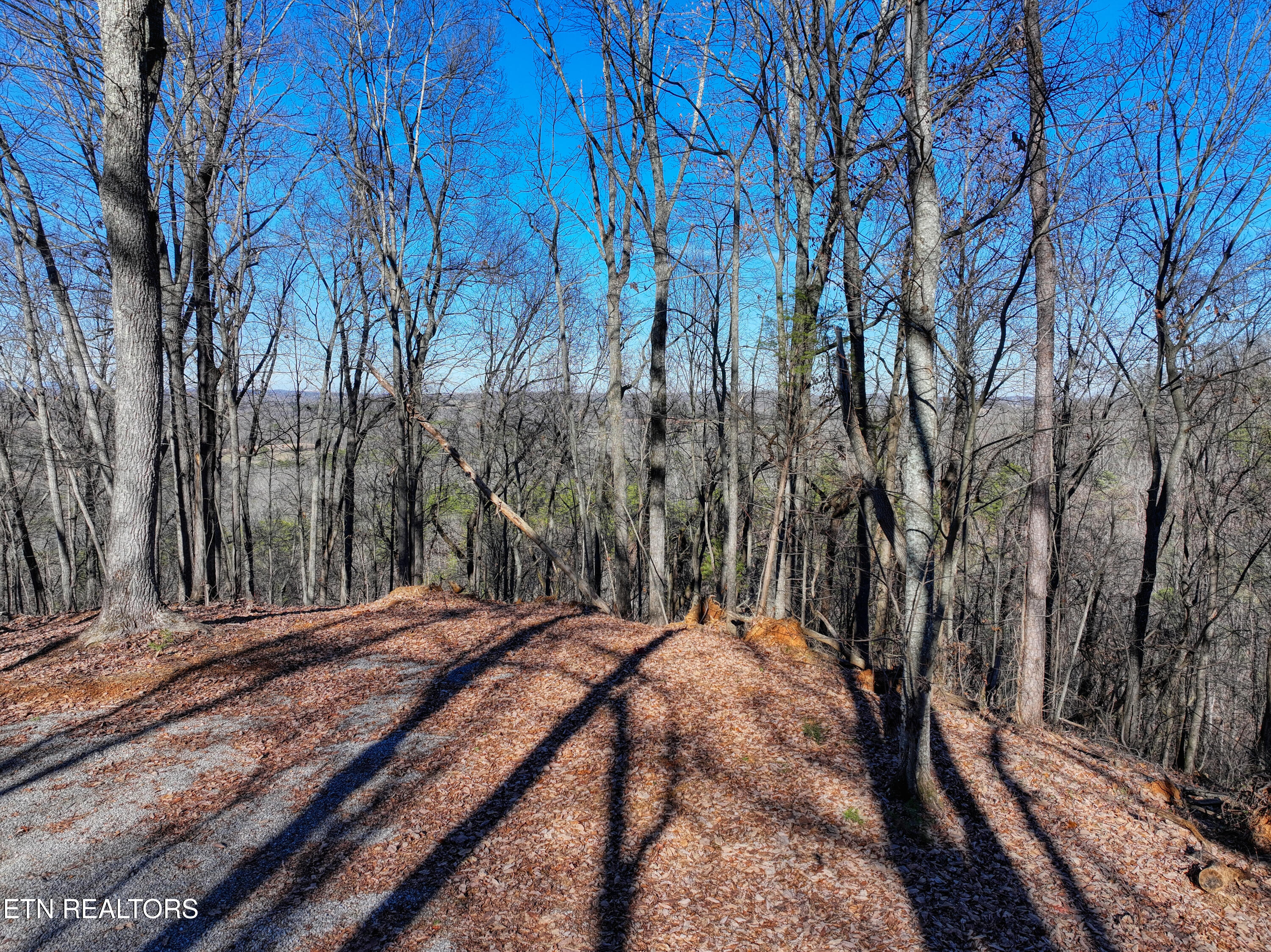 3474 Boone Docks Way Maryville TN 37803