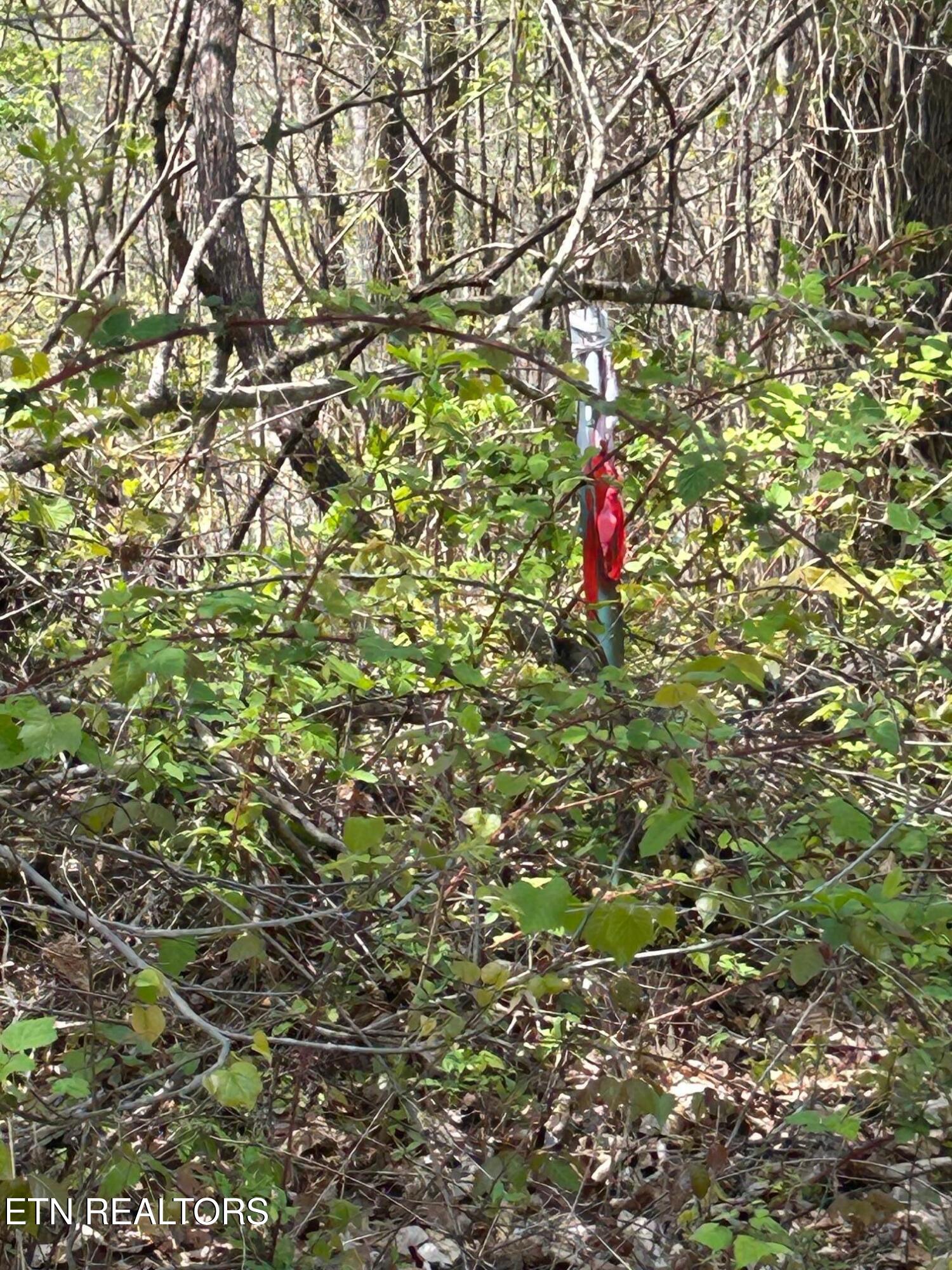 Lot 27 Jones Ridge Road Speedwell TN 37870