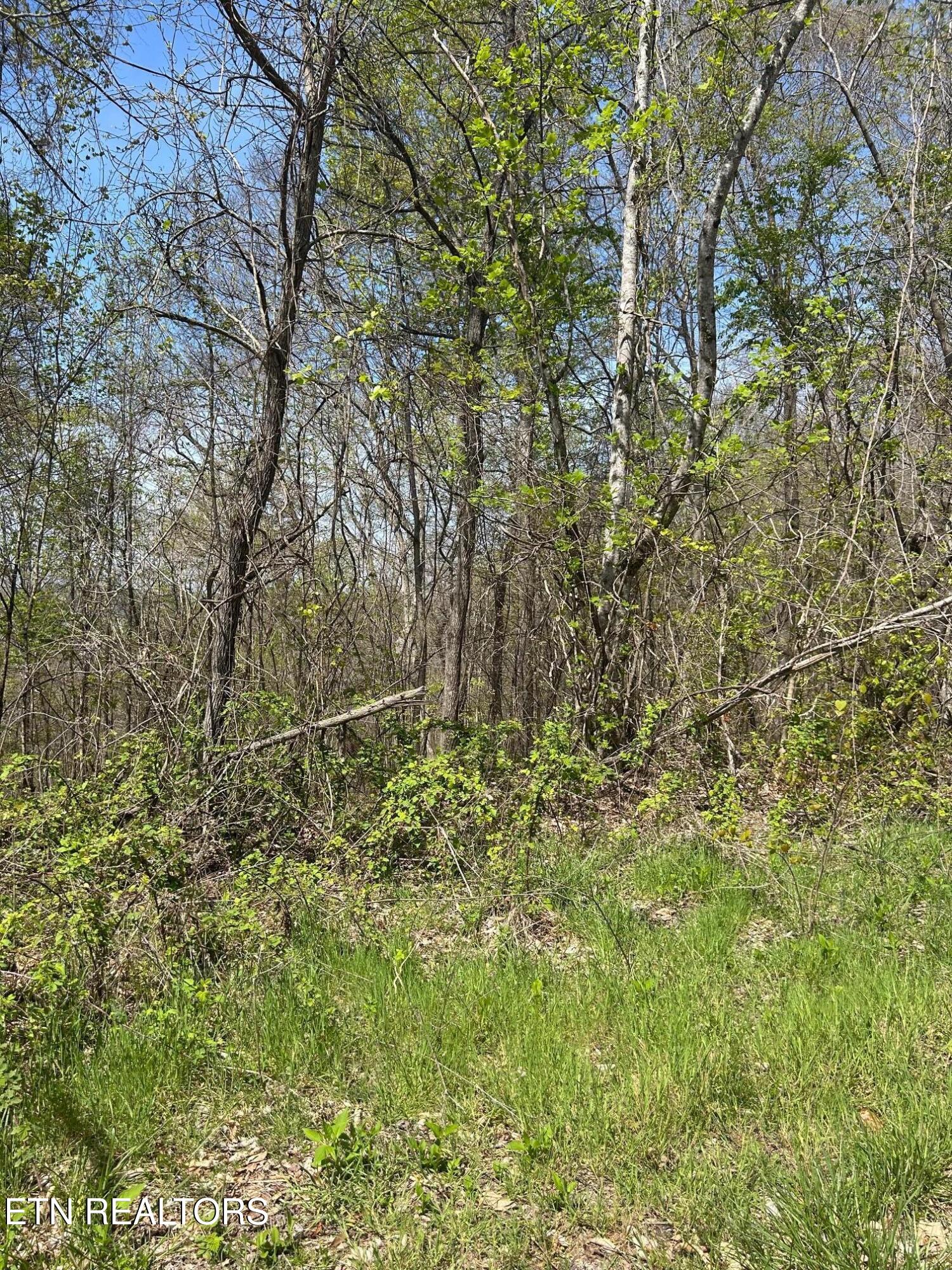 Lot 27 Jones Ridge Road Speedwell TN 37870