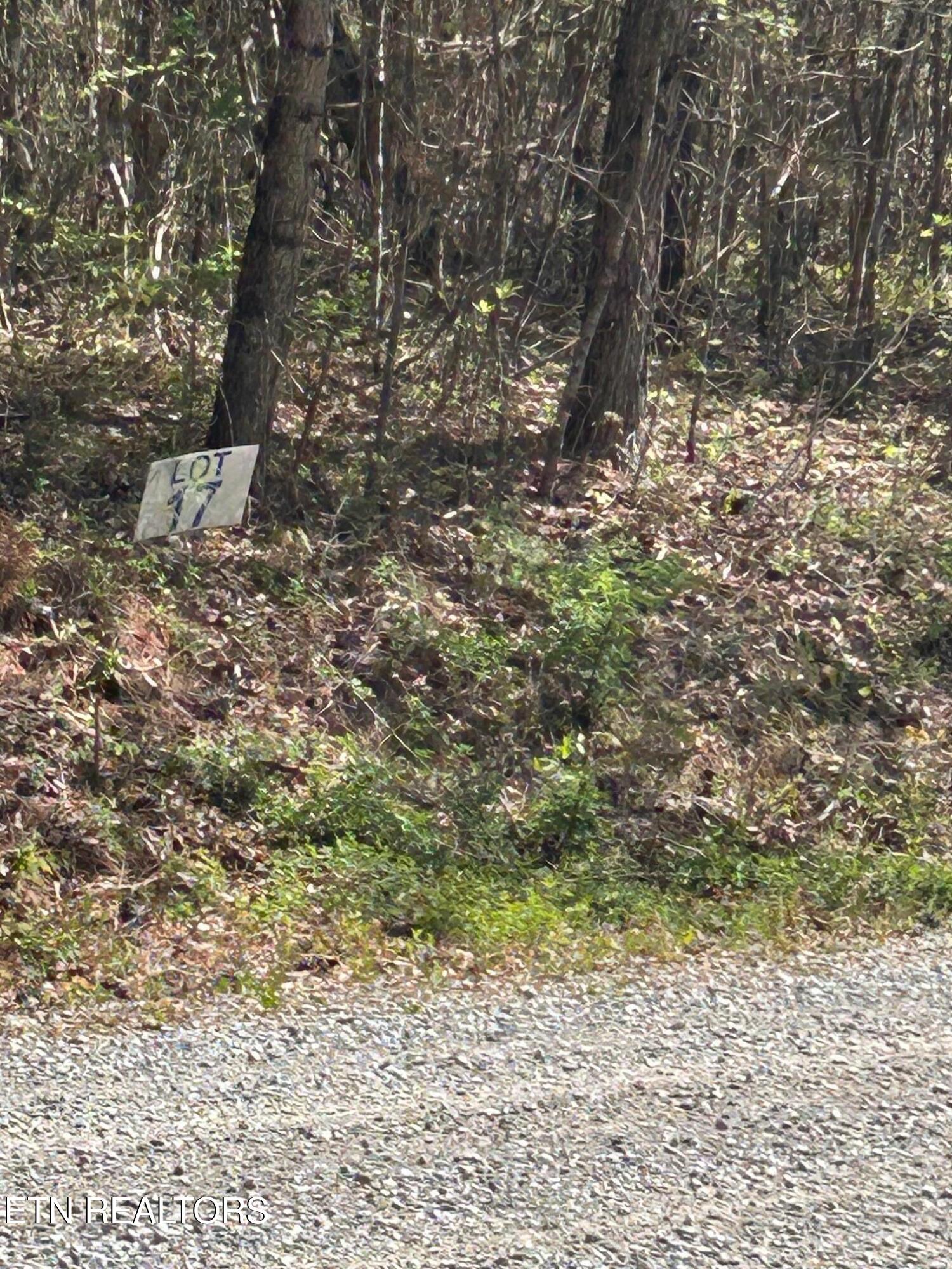 Lot 27 Jones Ridge Road Speedwell TN 37870