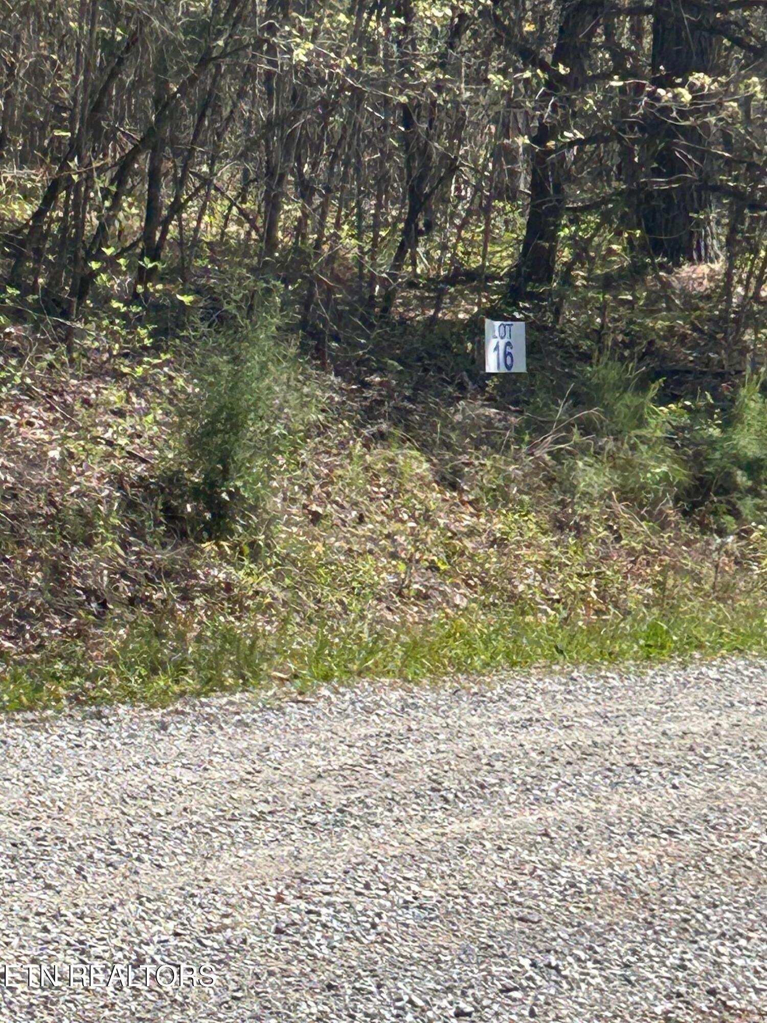 Lot 27 Jones Ridge Road Speedwell TN 37870