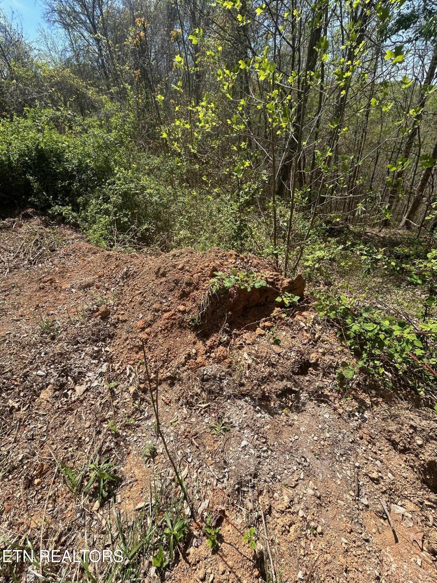 Lot 27 Jones Ridge Road Speedwell TN 37870