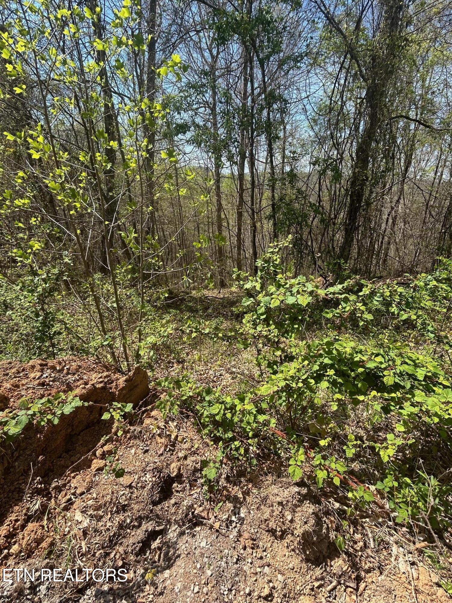Lot 27 Jones Ridge Road Speedwell TN 37870