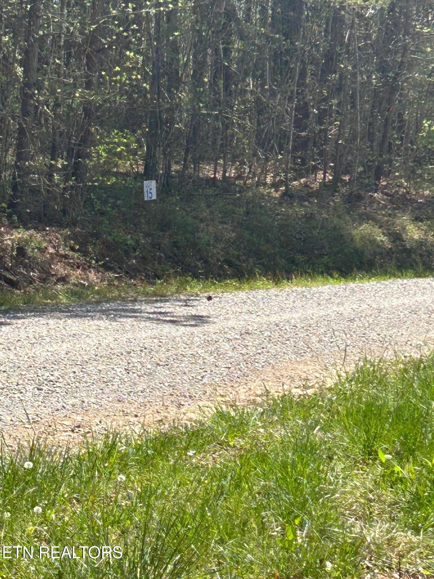 Lot 27 Jones Ridge Road Speedwell TN 37870