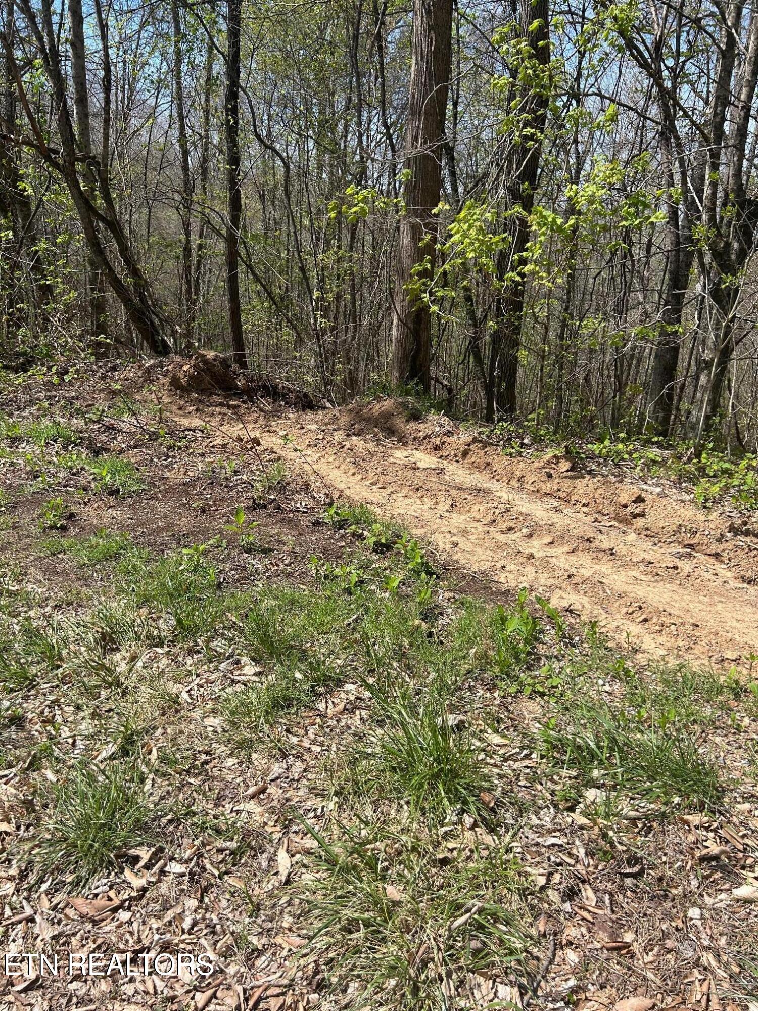 Lot 27 Jones Ridge Road Speedwell TN 37870