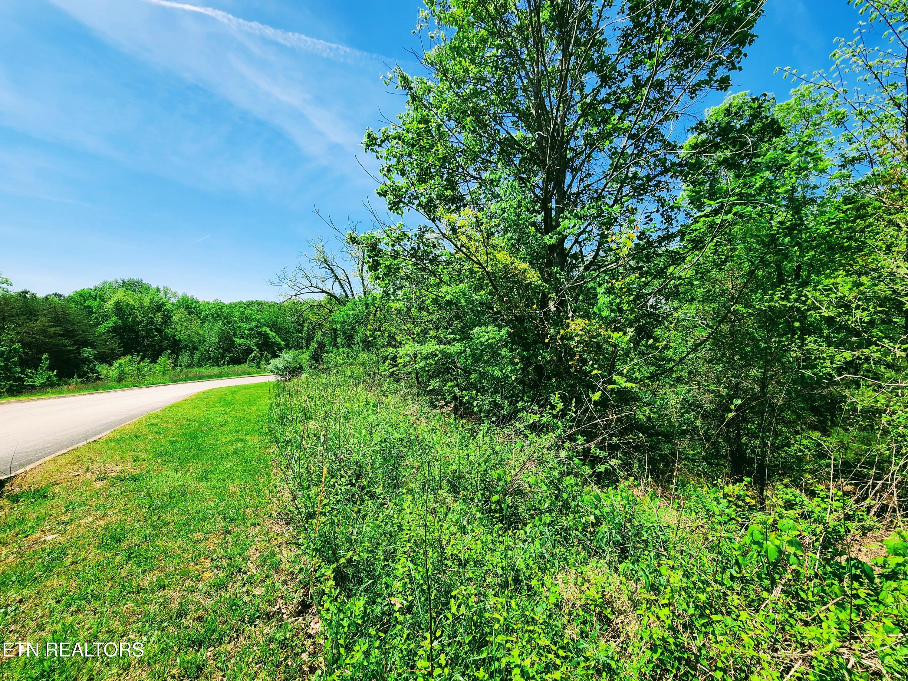 Melea Lane Kingston TN 37763