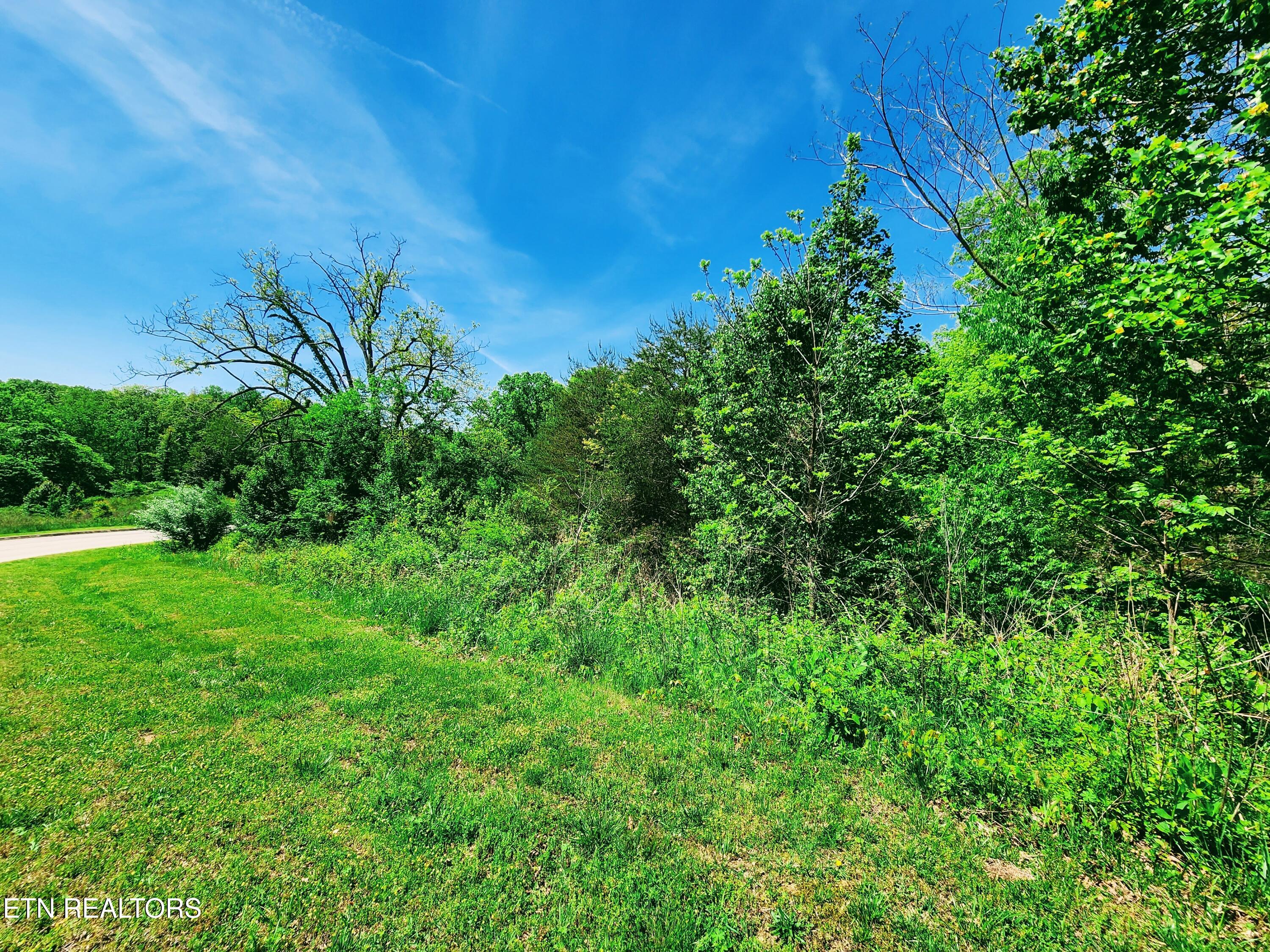 Melea Lane Kingston TN 37763