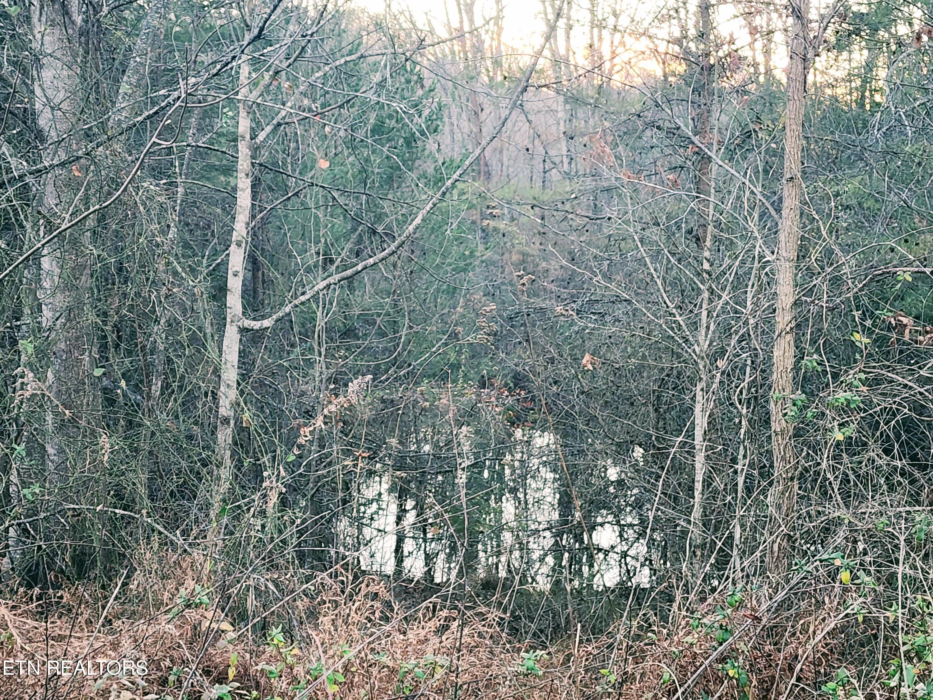 Melea Lane Kingston TN 37763