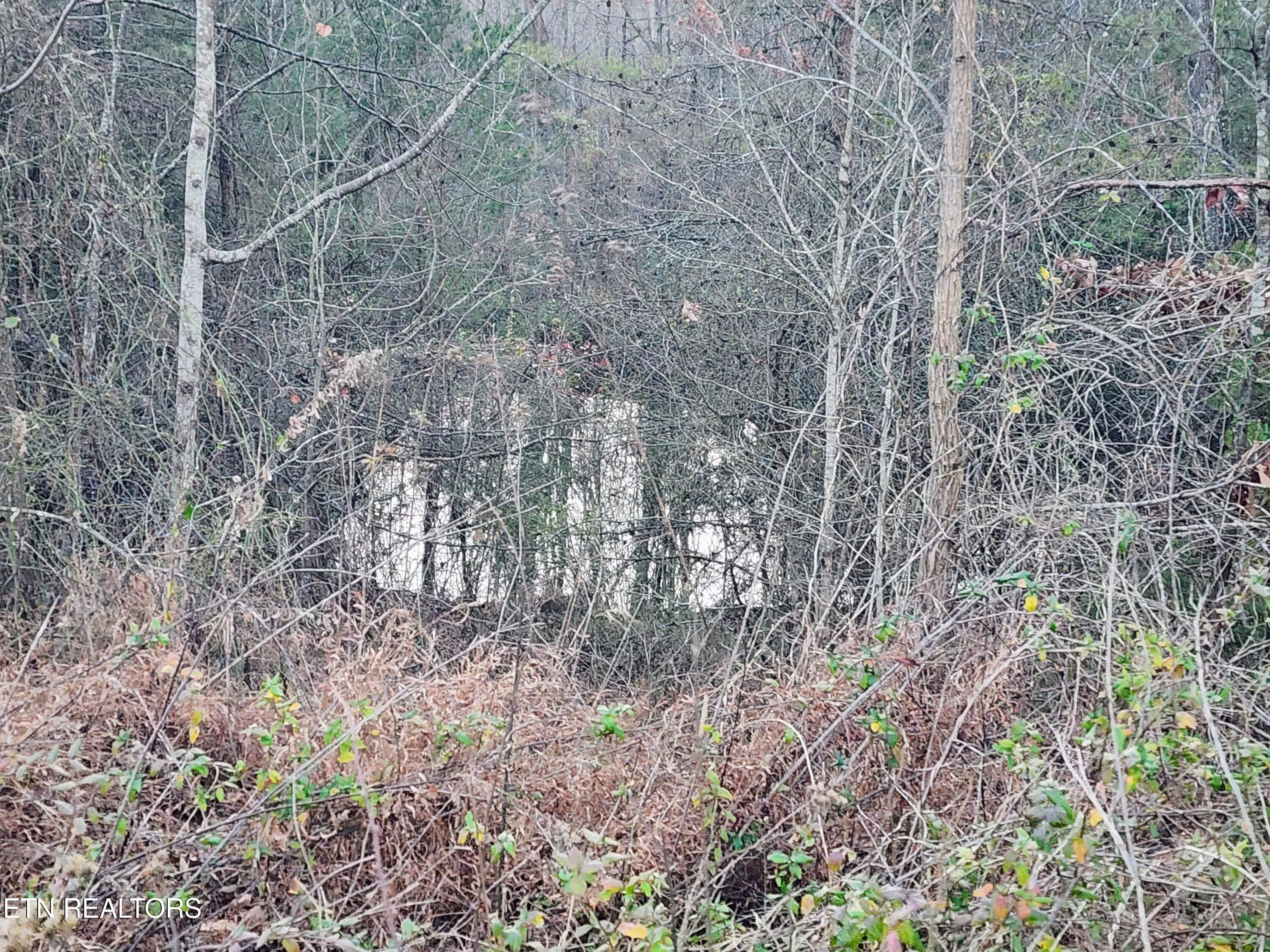 Melea Lane Kingston TN 37763