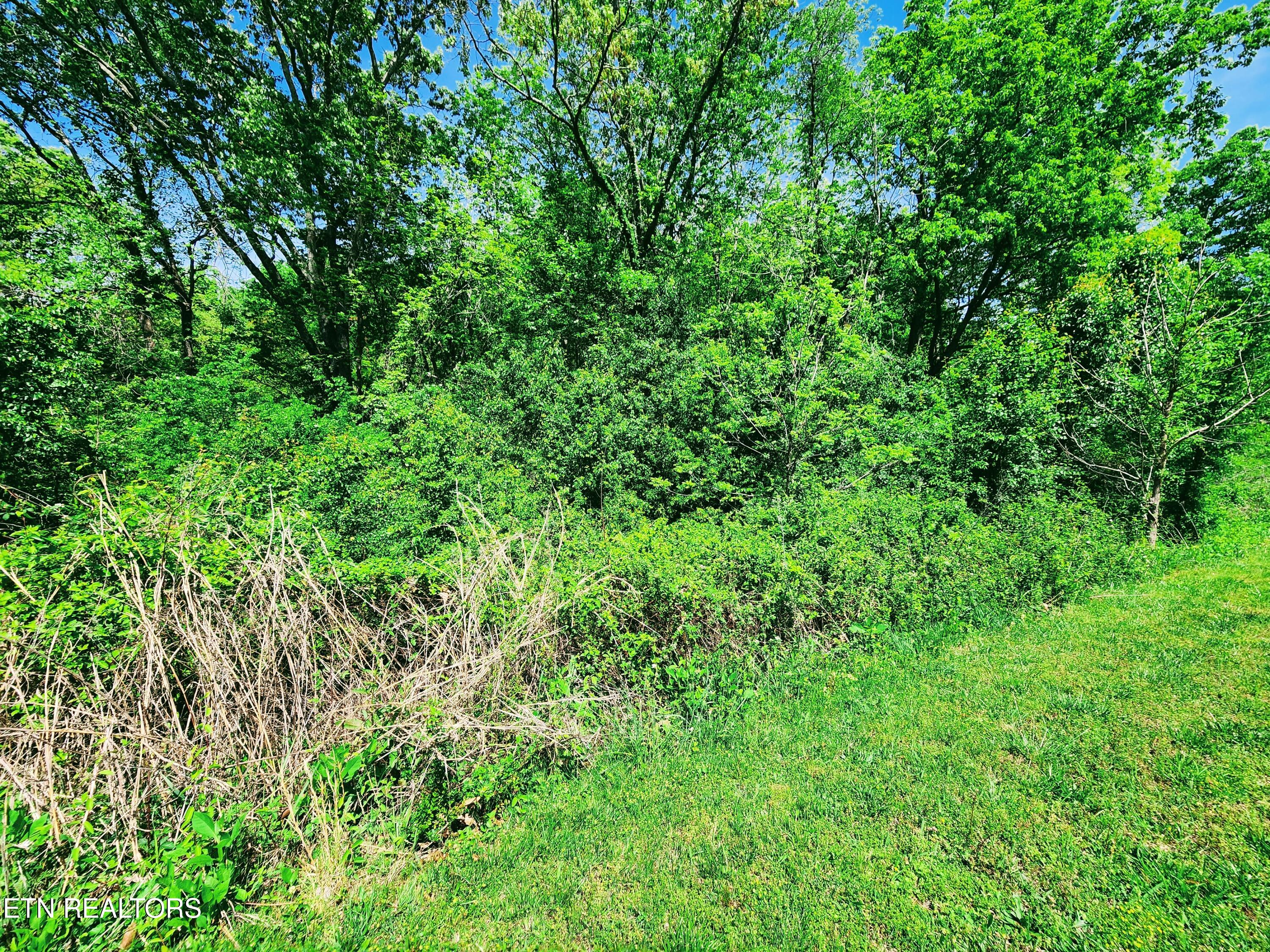 Melea Lane Kingston TN 37763