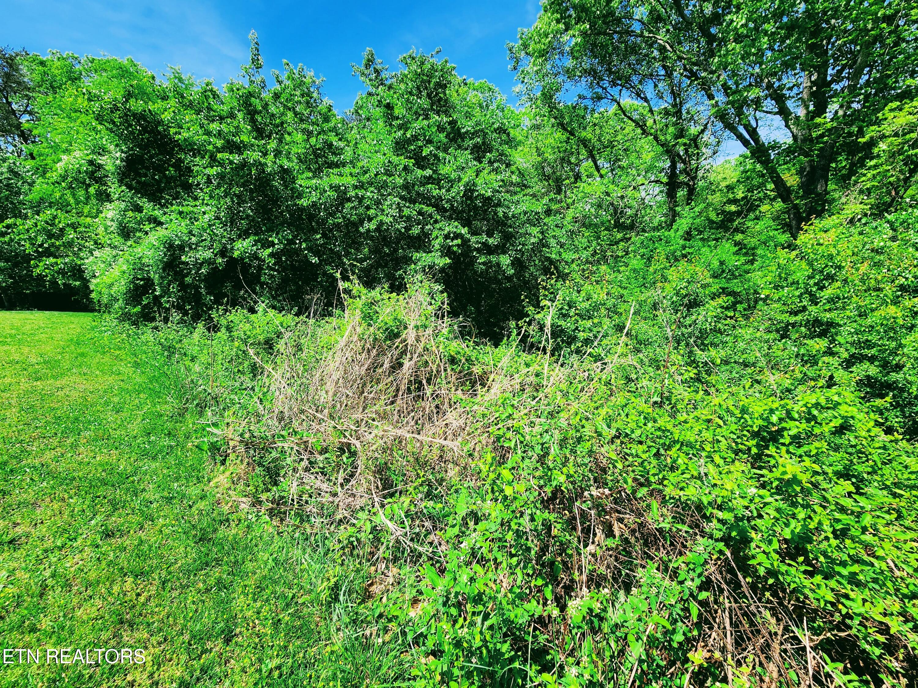 Melea Lane Kingston TN 37763