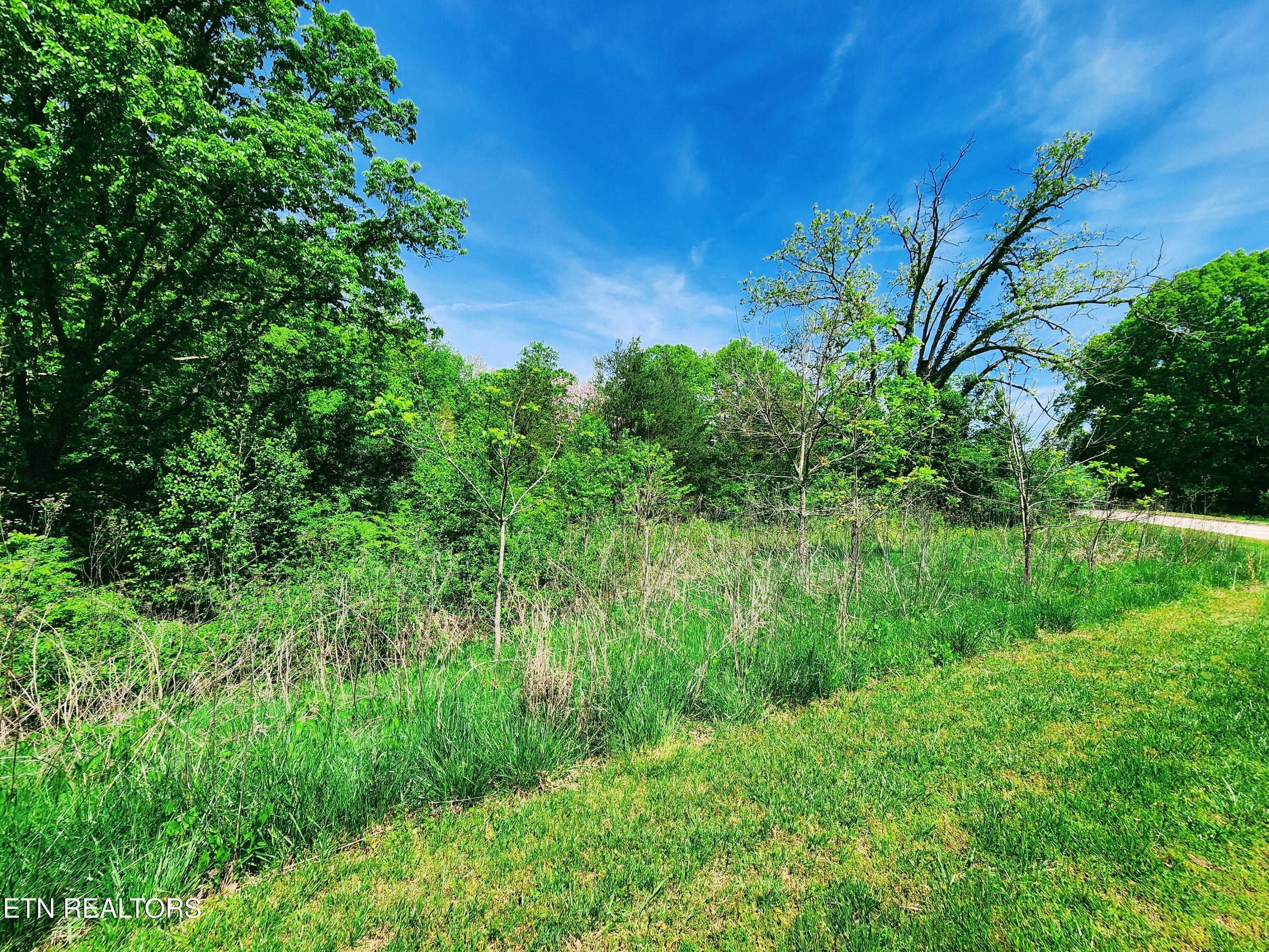 Melea Lane Kingston TN 37763
