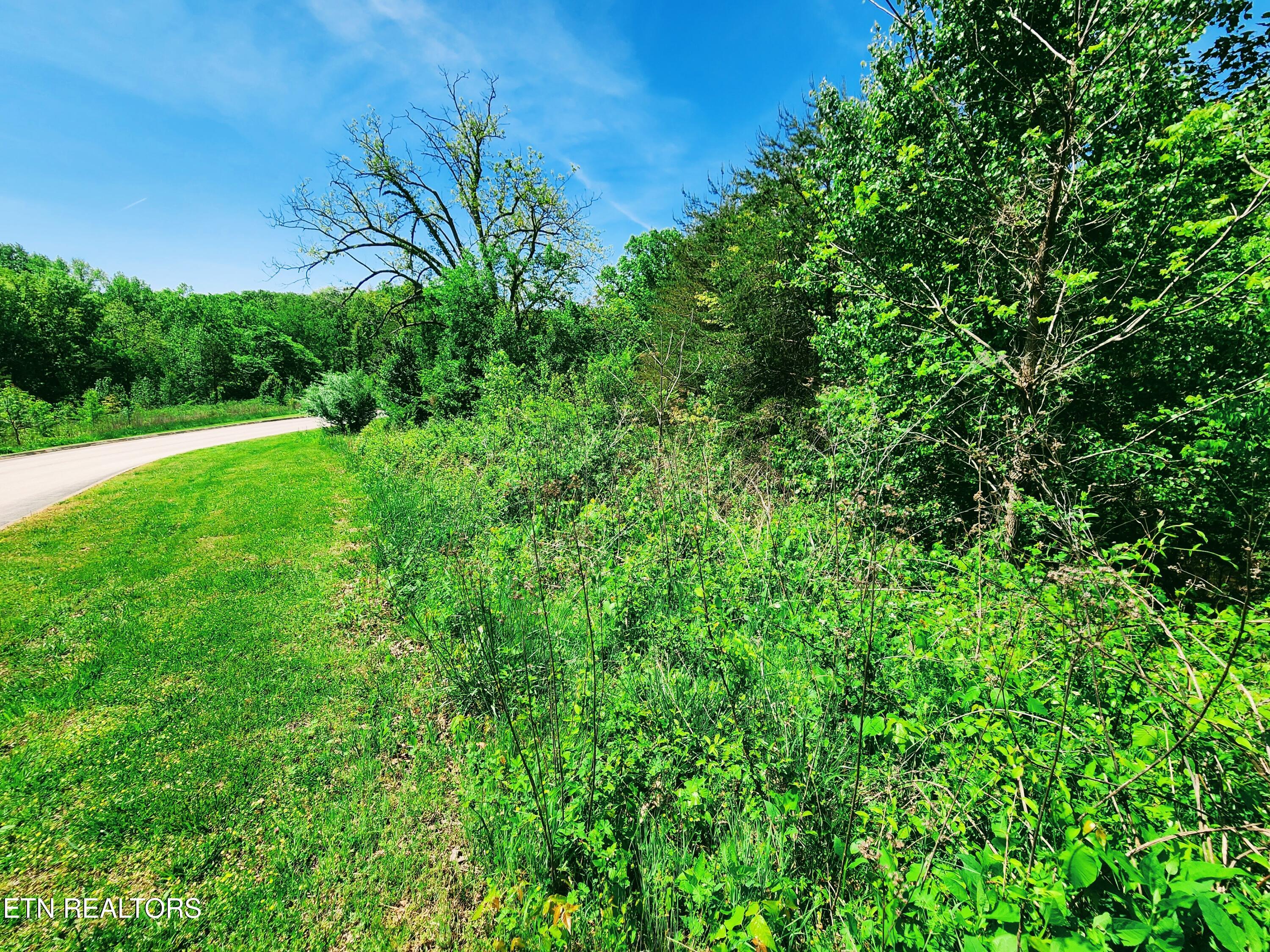 Melea Lane Kingston TN 37763