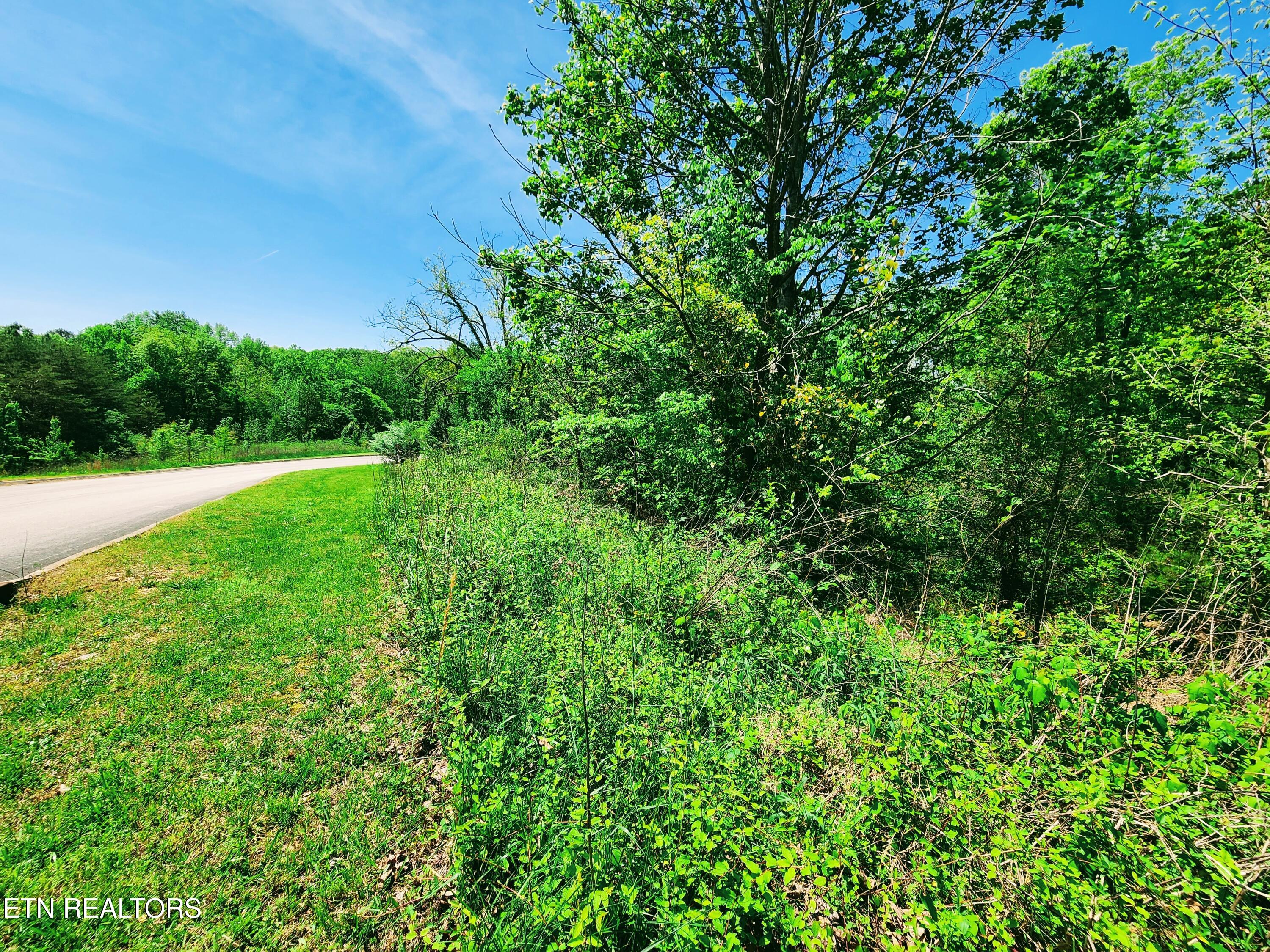Melea Lane Kingston TN 37763