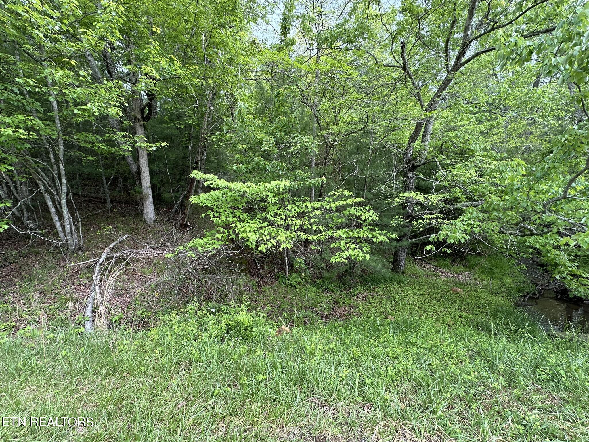 110 & 112 Forest Hill Drive Crossville TN 38558
