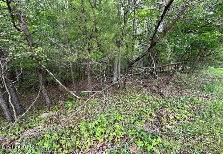 110 & 112 Forest Hill Drive Crossville TN 38558