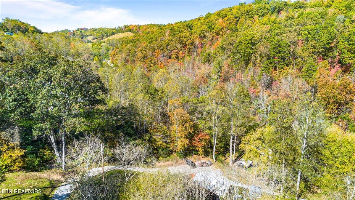 2938 Cedar Creek Road Lafollette TN 37766
