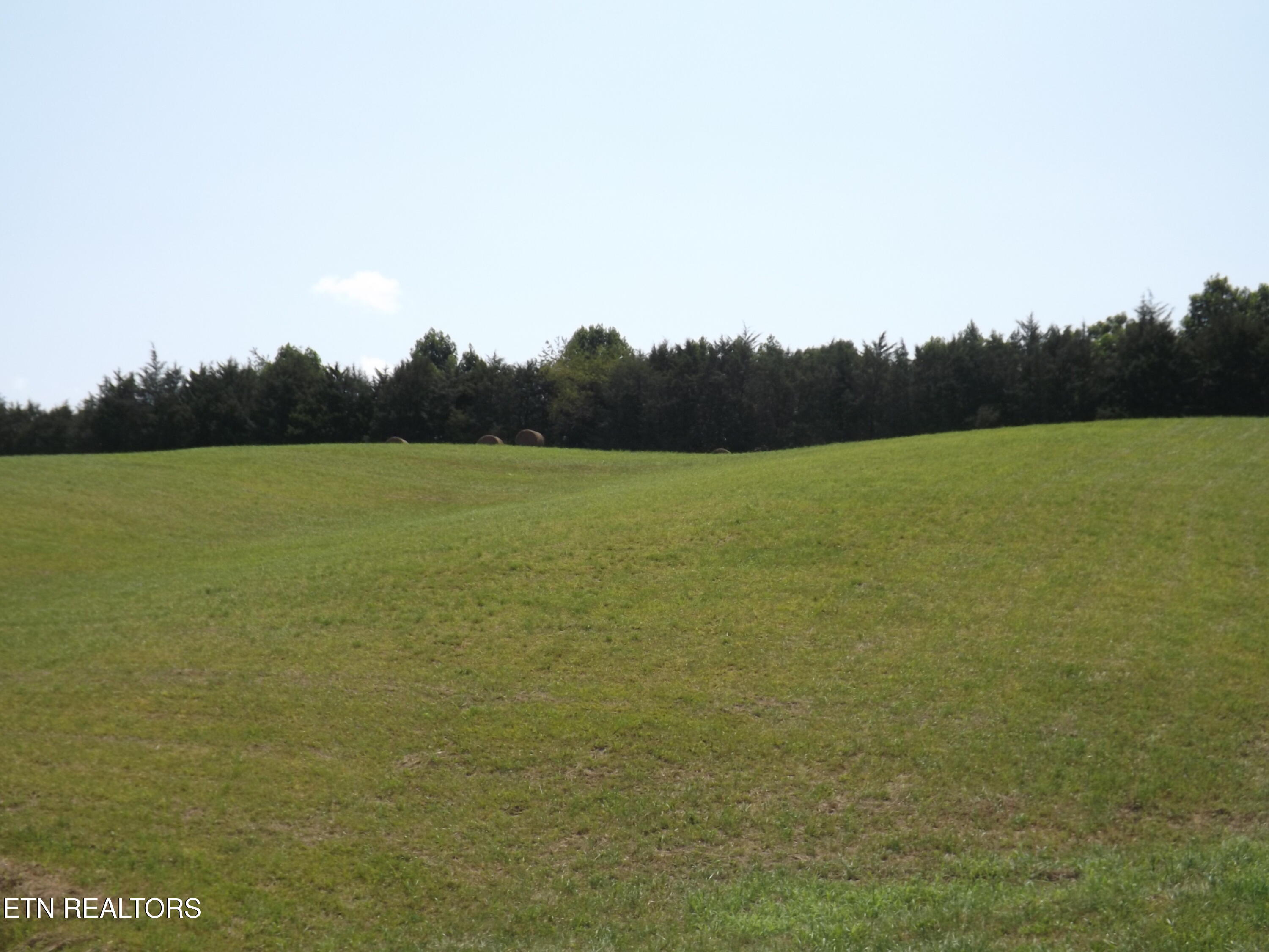 000 Forge Ridge Road Harrogate TN 37752