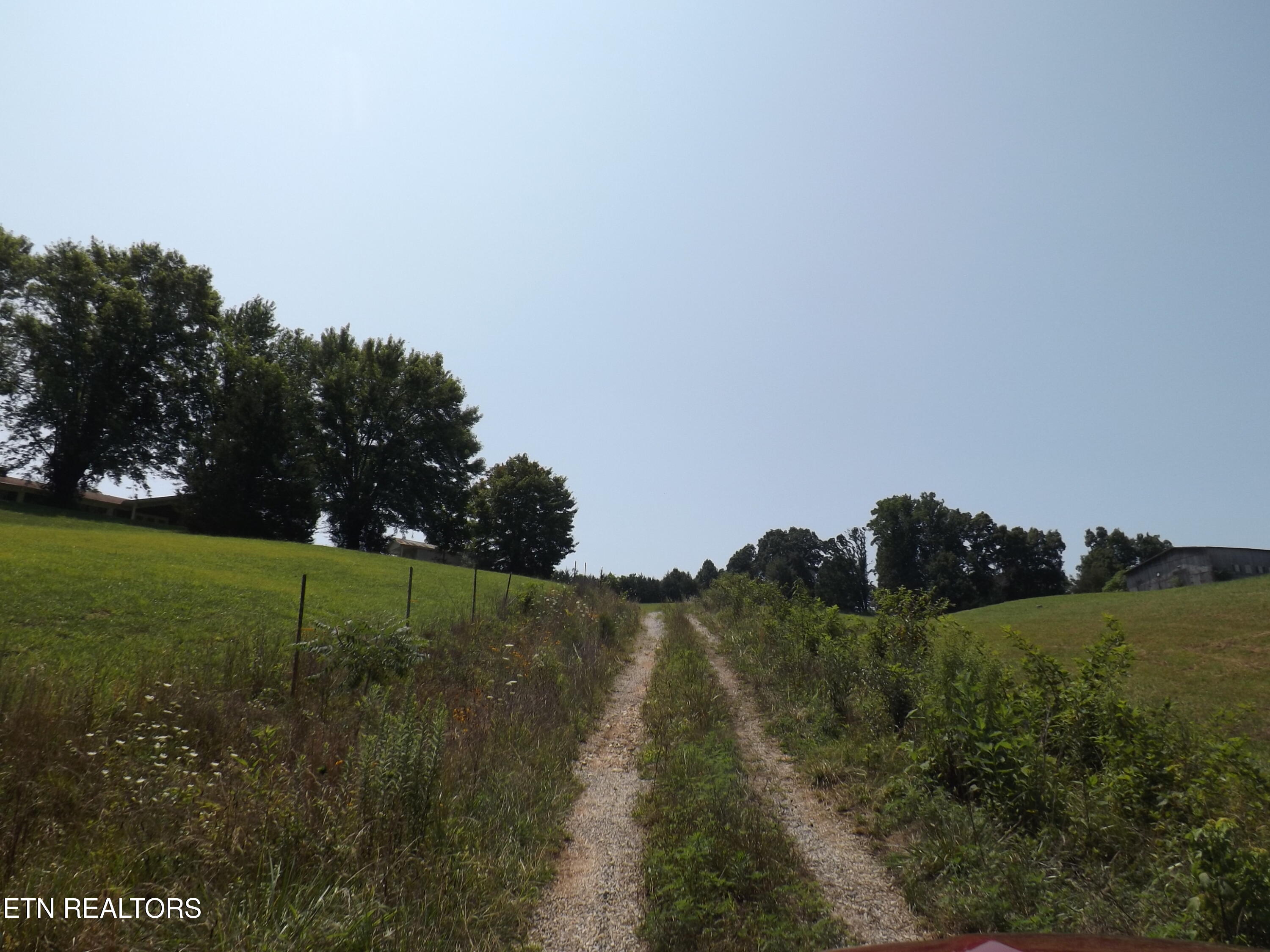 000 Forge Ridge Road Harrogate TN 37752