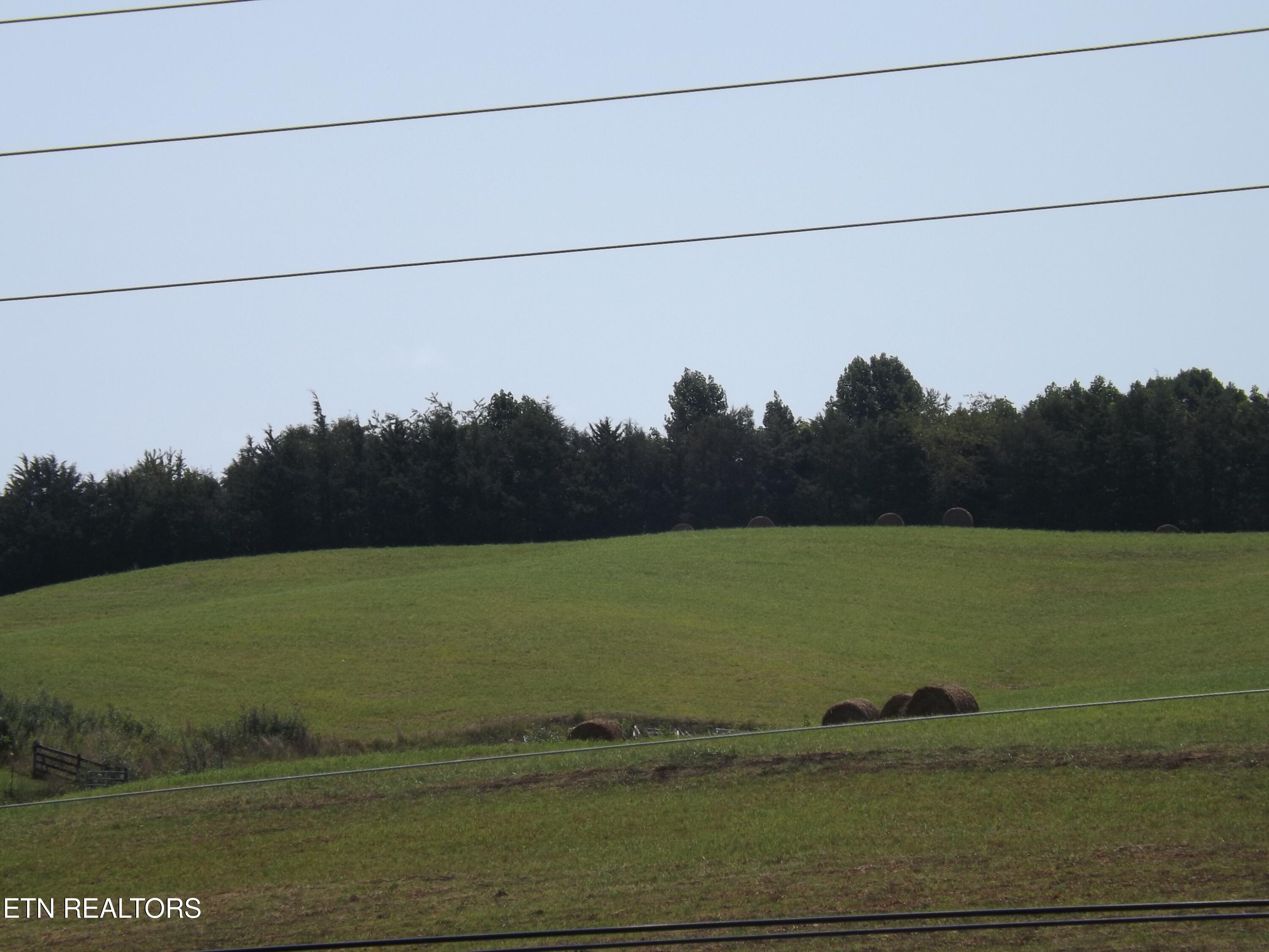 000 Forge Ridge Road Harrogate TN 37752