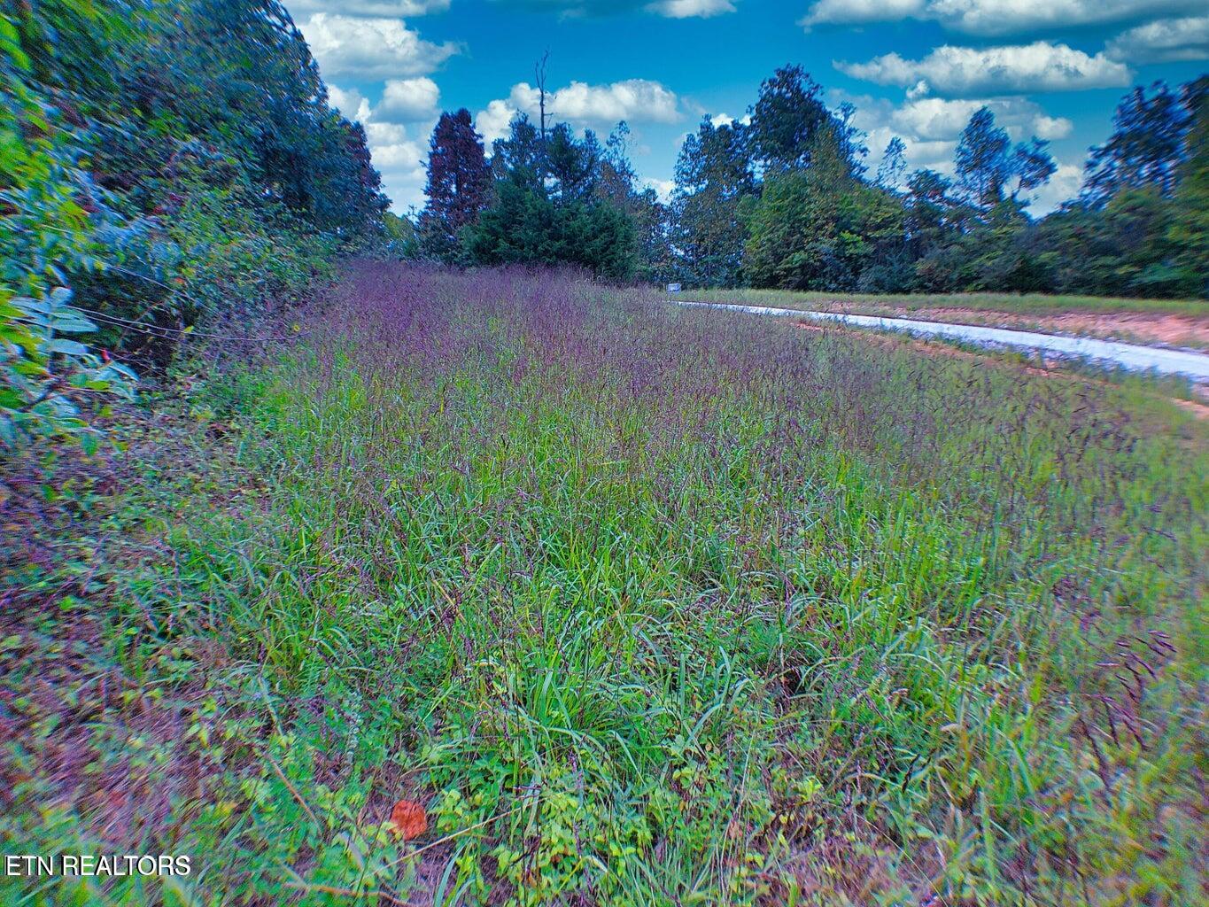 Clearwater View Lane Lafollette TN 37766