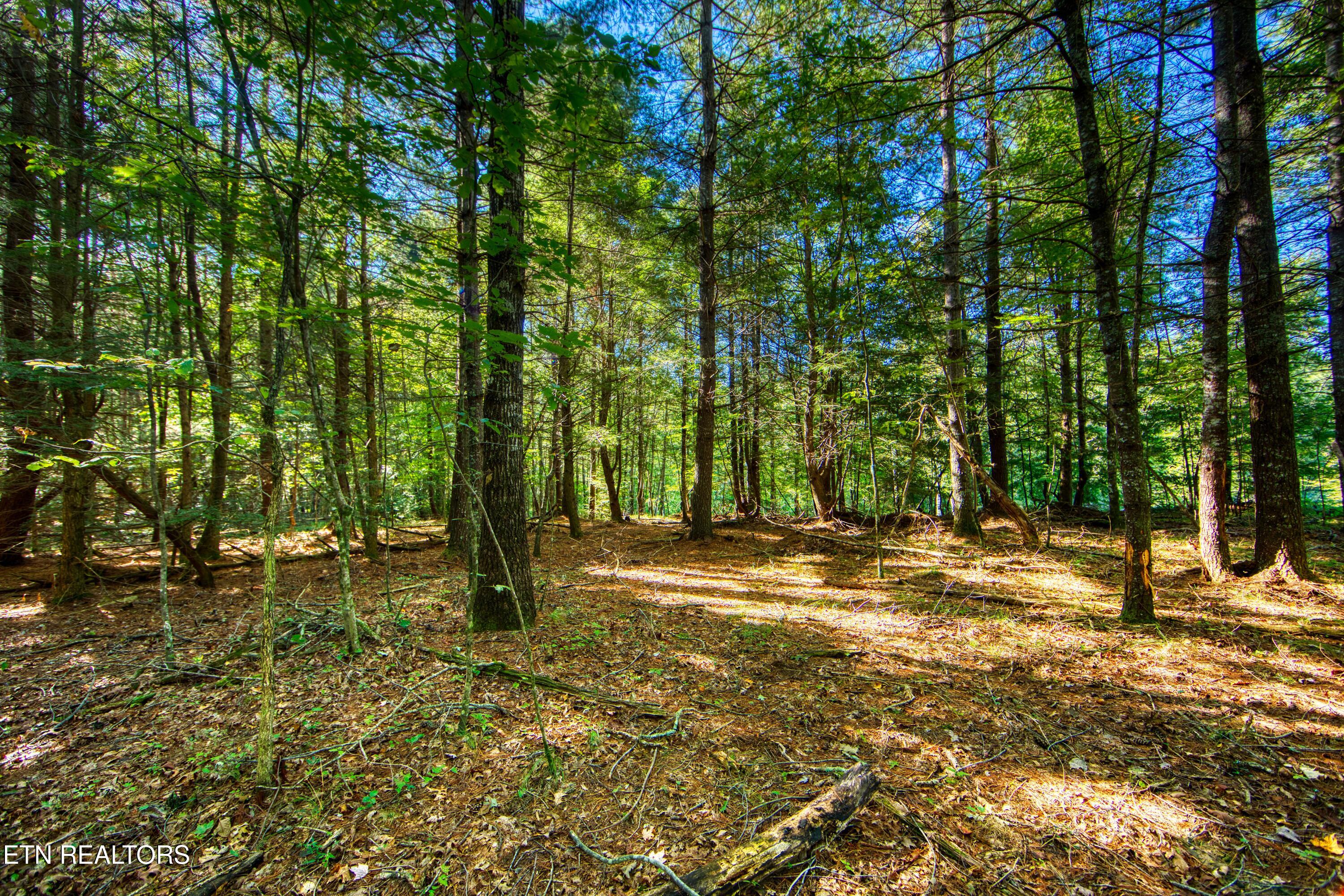 218 Lonesome Pine Lane Jamestown TN 38556